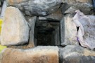Jackdaw Nest